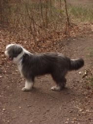8 months old